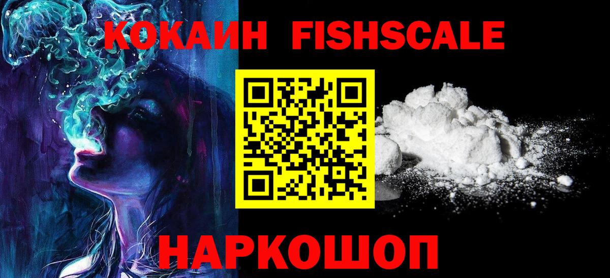 Будённовск  Cocaine Fish Scale  Вход с VPN 