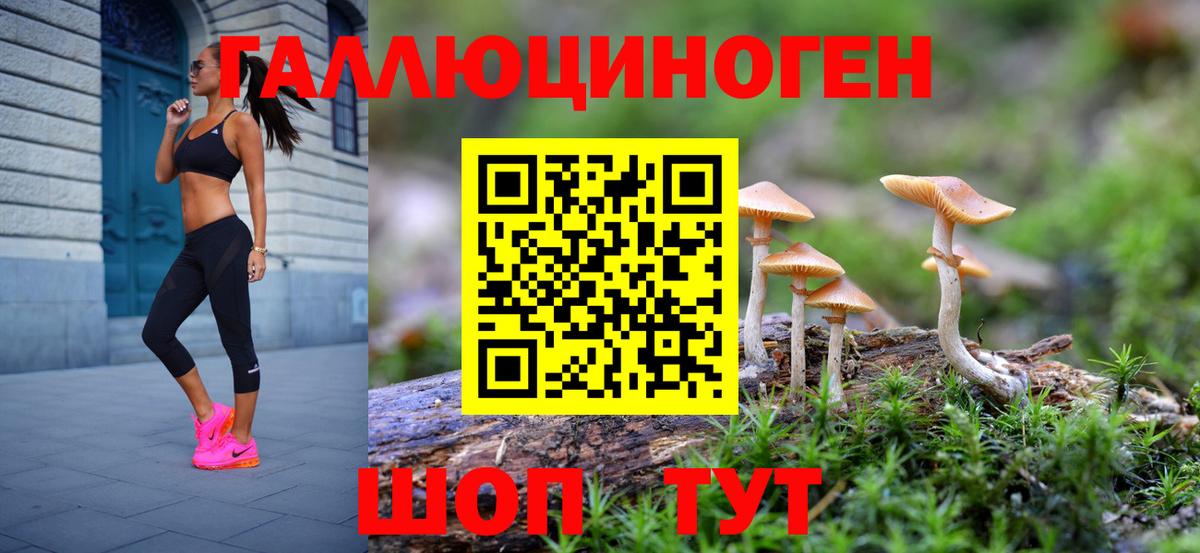 Будённовск  Псилоцибиновые грибы Cubensis  купить наркотики сайты  Вход с VPN 